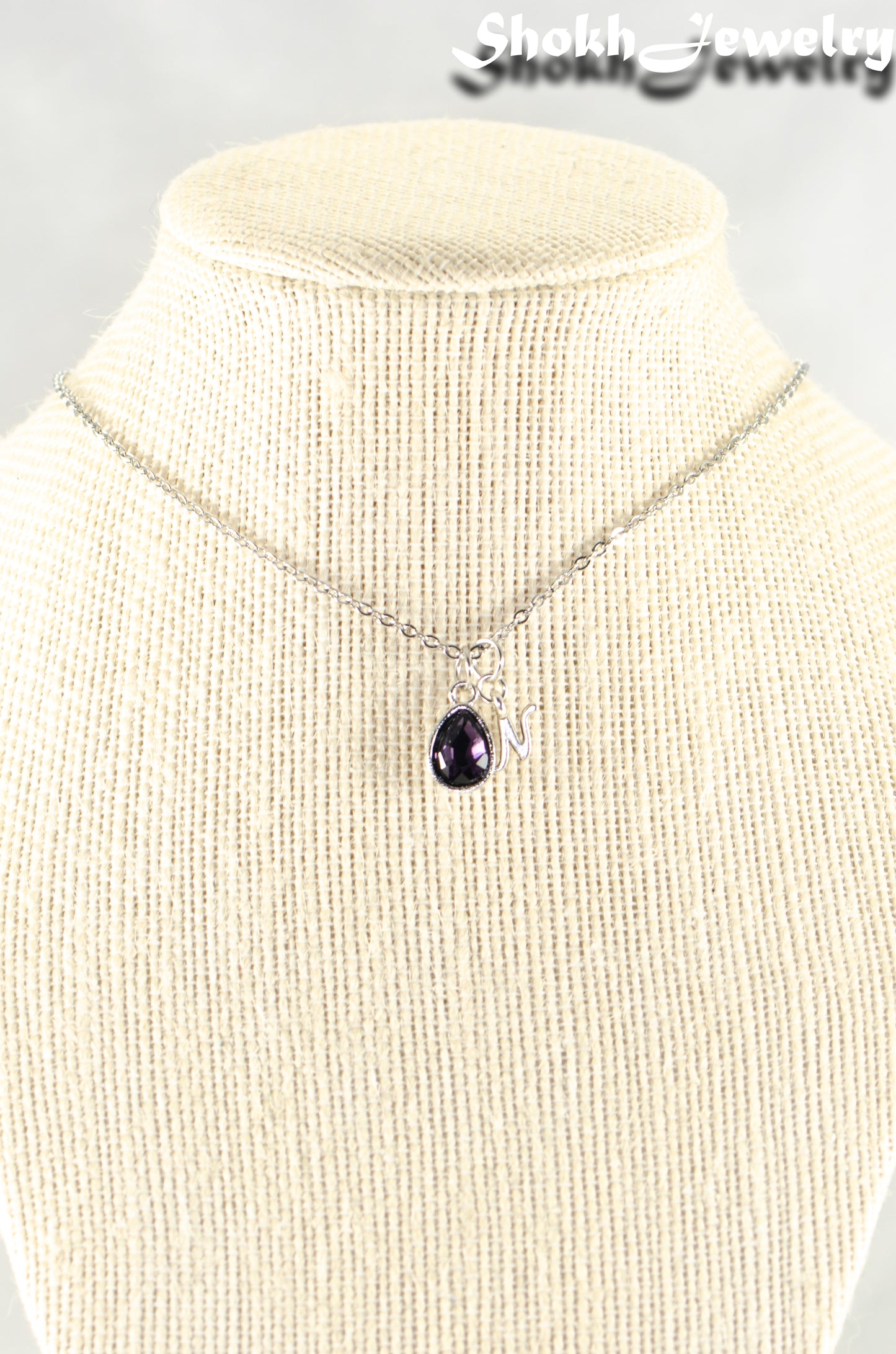 Small Personalized February Birthstone Choker Necklace.