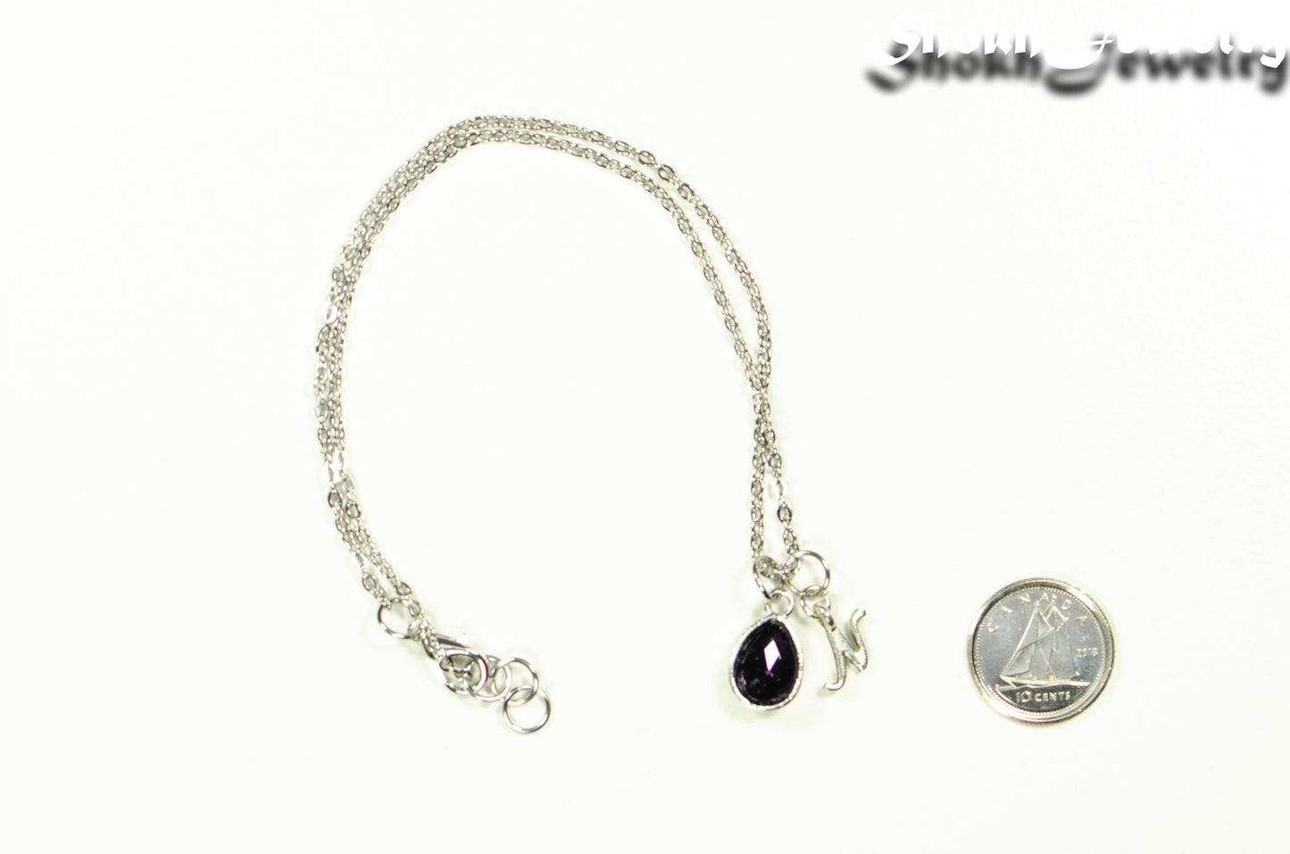 Small Personalized February Birthstone Choker Necklace beside a dime.
