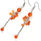 Top view of Long Stainless Steel Chain and Carnelian Earrings.