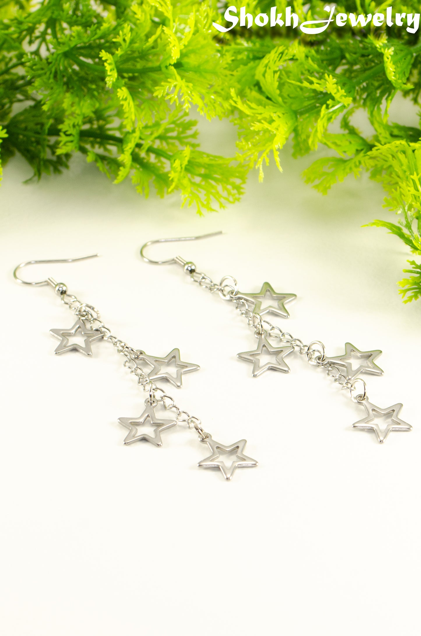 Stainless steel chain and 4 star earrings.