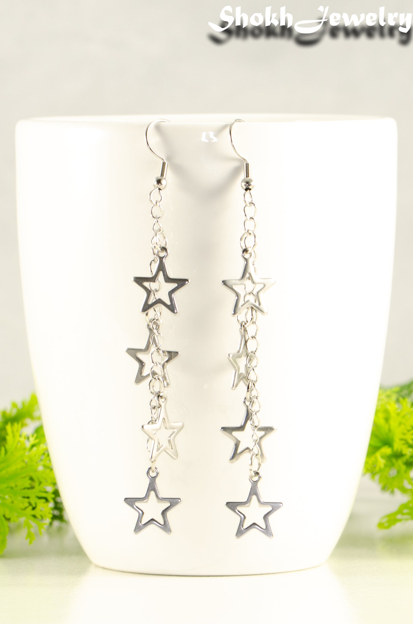 Close up of Stainless steel chain and 4 star earrings.