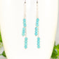 Close up of Silver Plated Chain and Turquoise Howlite Earrings.