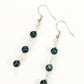 Top view of Dark Blue Natural Seashell Earrings