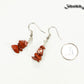 Simple Red Jasper Crystal Chip Earrings beside a dime.